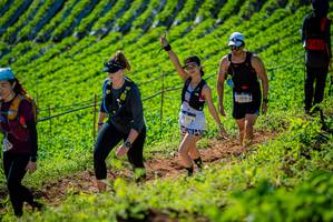 BIB: 313, 3078, 
                            <button type="button" onclick="openModal(19161830)" class="btn btn-primary btn-sm float-right btn-popup" data-toggle="modal" data-target=".modal-high-quality">
                        <i class="fas fa-shopping-cart"></i> Add to Cart
                    </button>
                                            <button type="button" onclick="isThisMe(19161830, true)" class="btn btn-success btn-sm float-right btn-popup btn-isme hidden" data-toggle="tooltip" data-placement="bottom" title="นี่คือรูปของคุณใช่ไหม คลิกที่นี่เพื่อเอาเข้าอัลบั้ม">
                        <i class="fas fa-plus"></i> Add to album
                    </button>
                    <button type="button" onclick="isThisMe(19161830, false)" class="btn btn-warning btn-sm float-right btn-popup btn-isnotme hidden">
                        <i class="fas fa-ban"></i> Remove from album
                    </button>